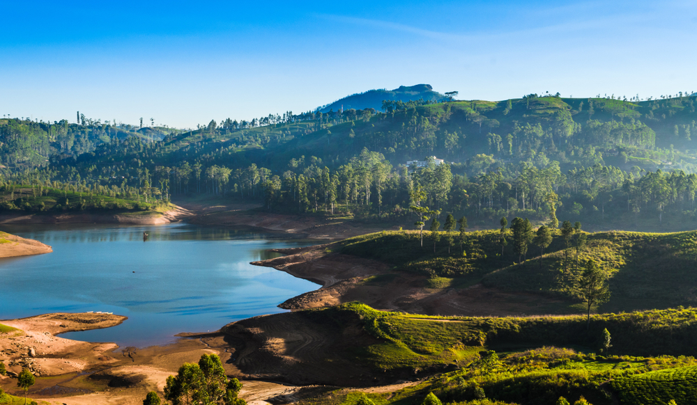 Sun shining on the tea plantations of Sri Lanka