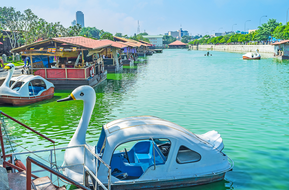 A regular sight at the Pettah Floating Market, Colombo