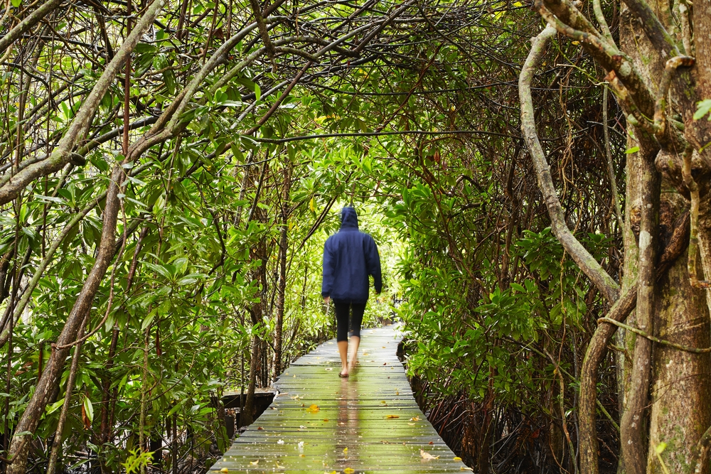 Woman walking in a natural tunnel in Sri Lanka in drizzling weather