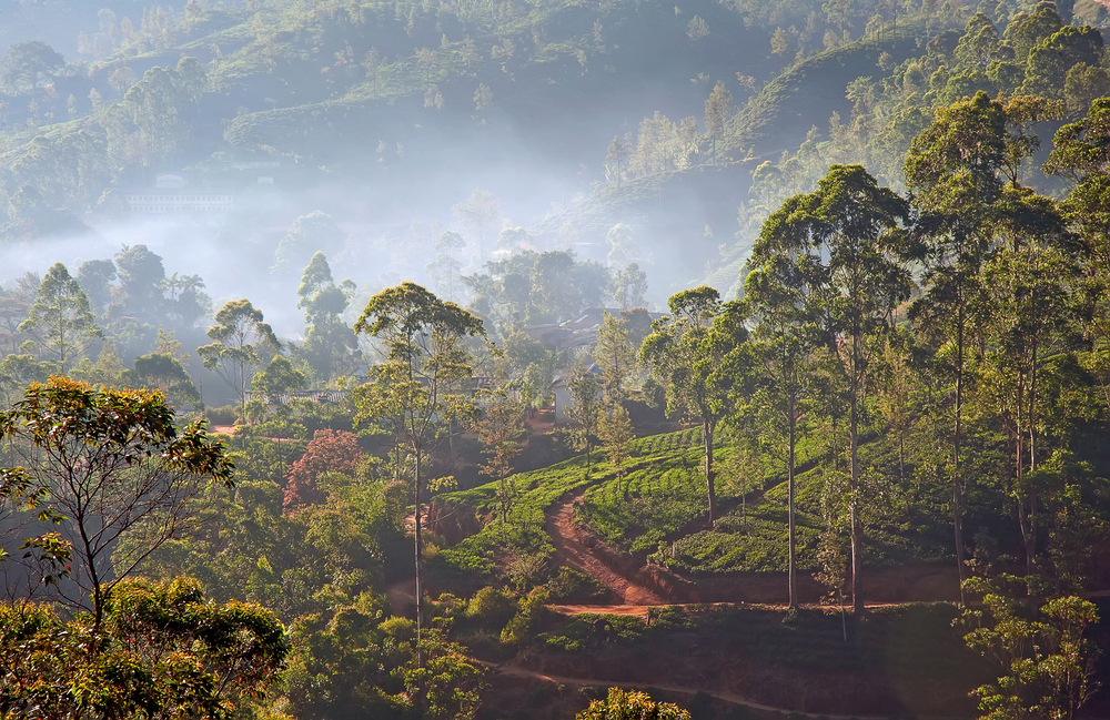 Mountain plains on a wet weather day at sunrise