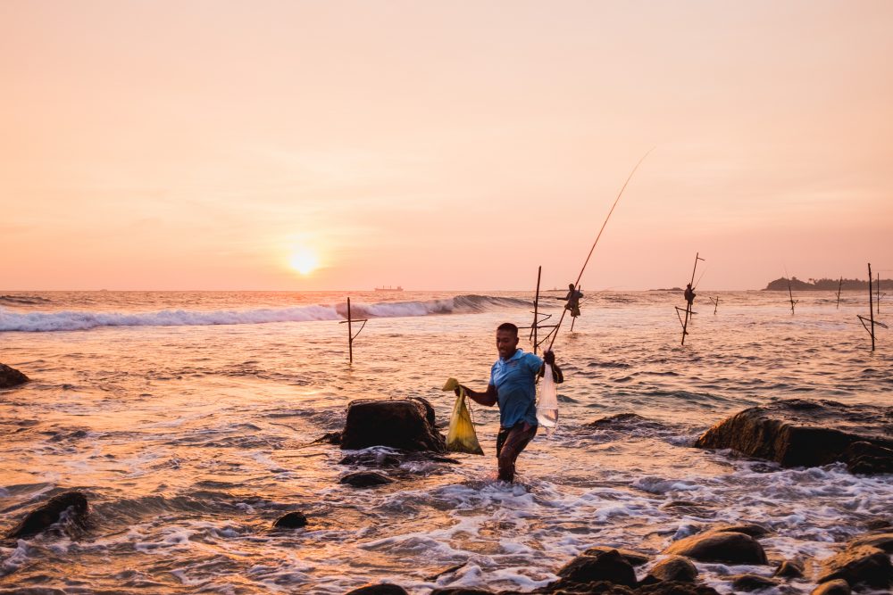 The art of stilt fishing is unique to Sri Lanka. https://unsplash.com/photos/HA5k7riR7no