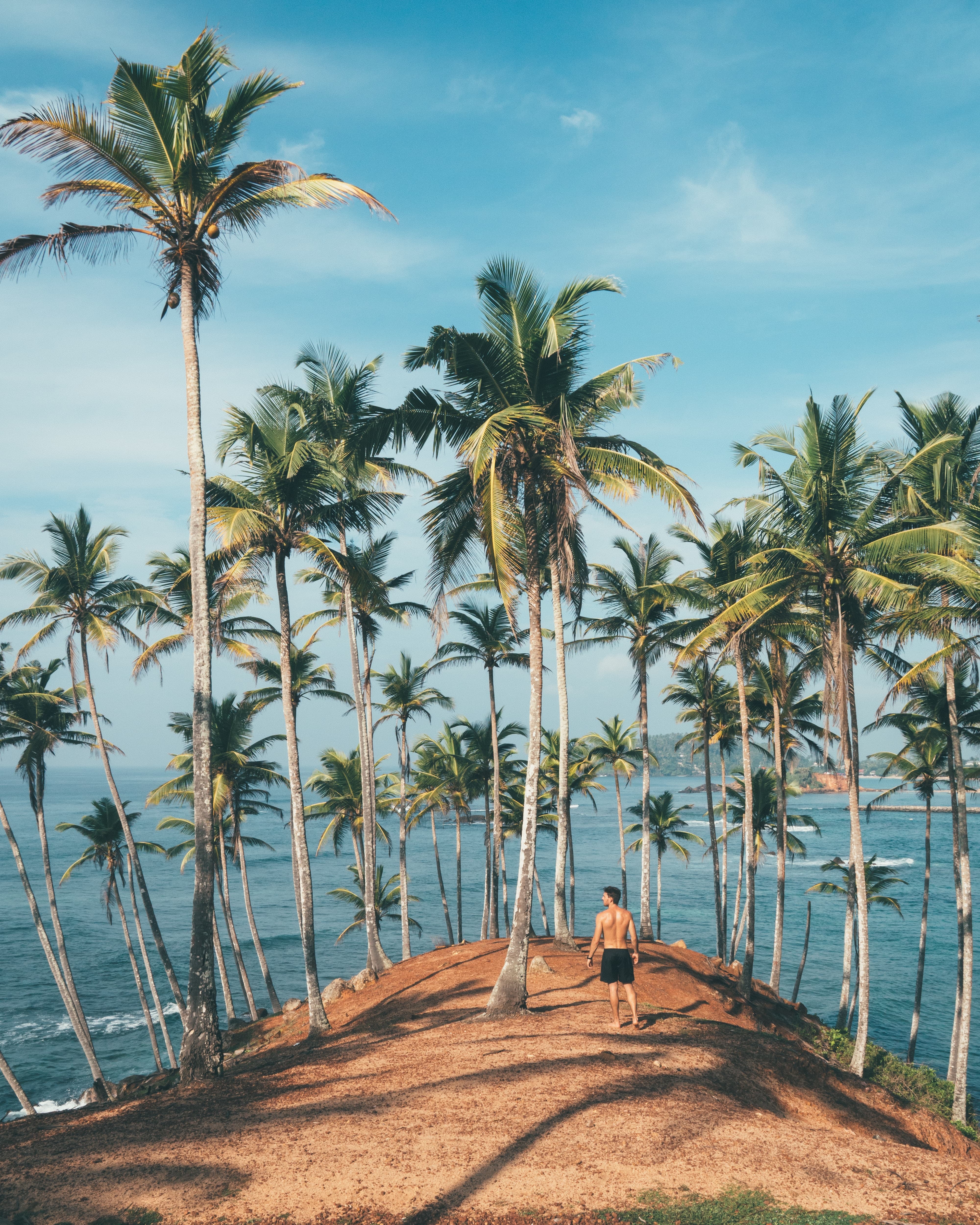 Coconuc viewpoint Mirissa sri lanka