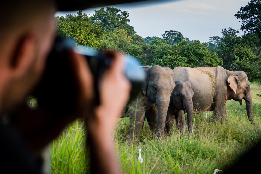 Yala safari with a family