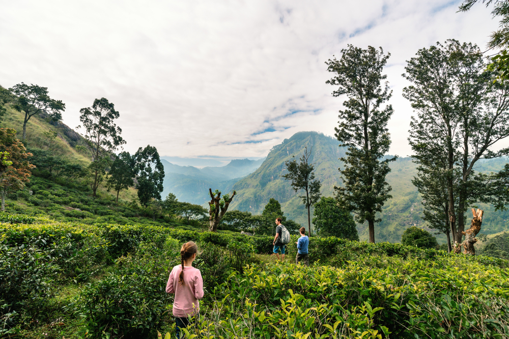 Hiking and trekking enthusiasts won't be short of things to do in Ella.